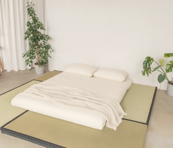 Slaaphoek in de woonkamer - hoe creëer je een ontspanningsruimte met een futon?