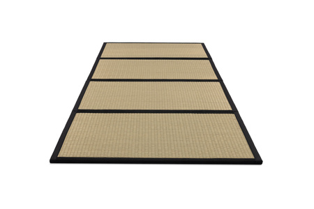Mata Tatami Folding Pascall 70x200cm